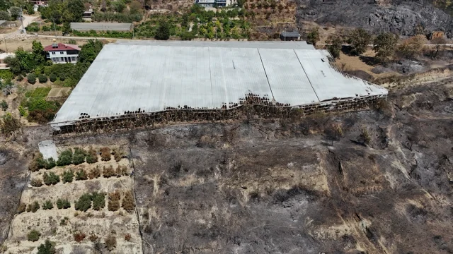 Alanya'yı Küle Çeviren Yangın! Şok Edici Görüntüler Ortaya Çıktı