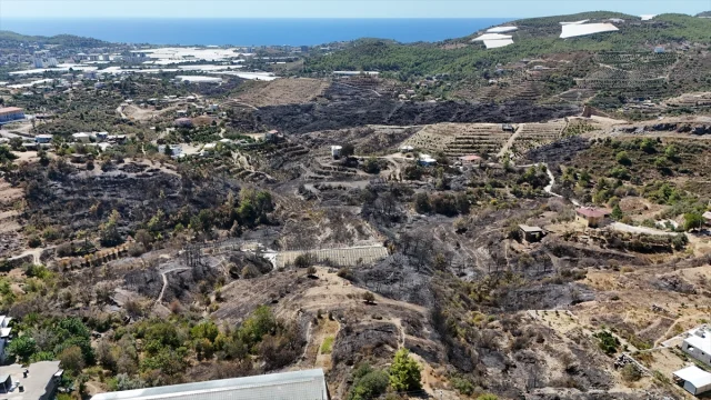 Alanya'yı Küle Çeviren Yangın! Şok Edici Görüntüler Ortaya Çıktı