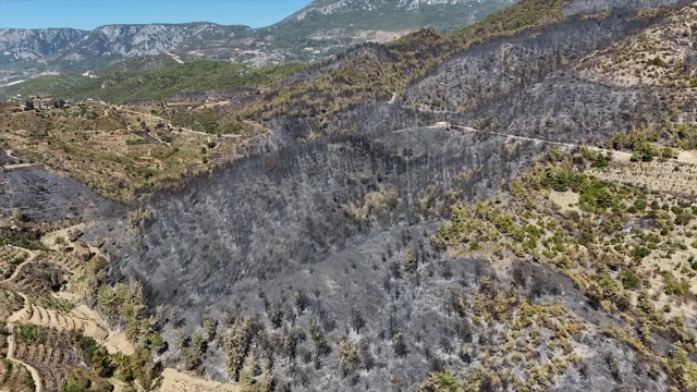 Alanya'yı Küle Çeviren Yangın! Şok Edici Görüntüler Ortaya Çıktı