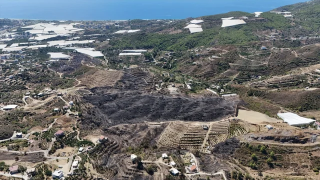 Alanya'yı Küle Çeviren Yangın! Şok Edici Görüntüler Ortaya Çıktı