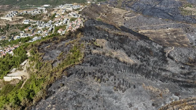 Alanya'yı Küle Çeviren Yangın! Şok Edici Görüntüler Ortaya Çıktı