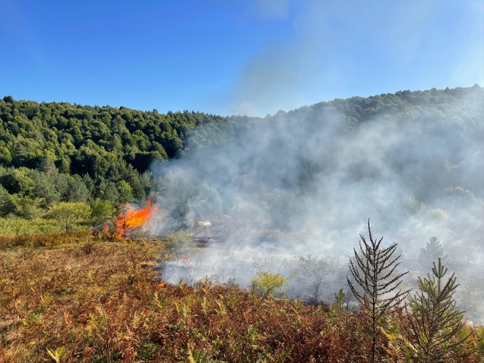 Bilecik'teki Arazide Gizemli Yangın Ormana Sıçradı: Kontrol Altında