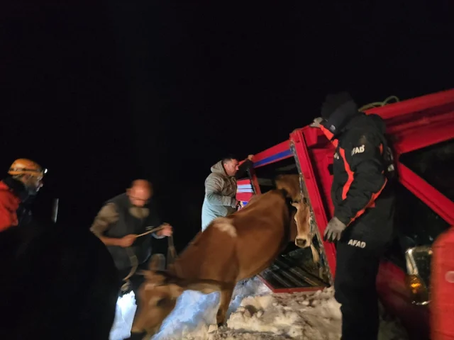 Karadeniz'de Çığ Dramı: Kurtarma Anları Nefes Kesti