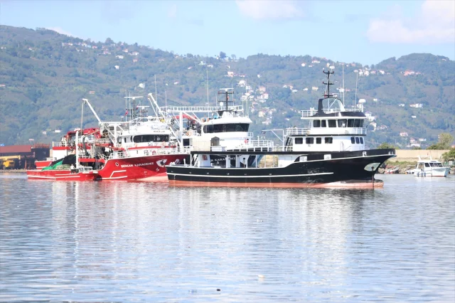 Ordu Sahillerinde Hamsi Bereketi Görenleri Hayrete Düşürdü