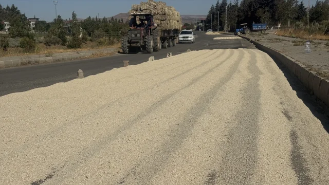 Kahramanmaraş'ta Çiftçilerden Dronla Akdarı Savunması