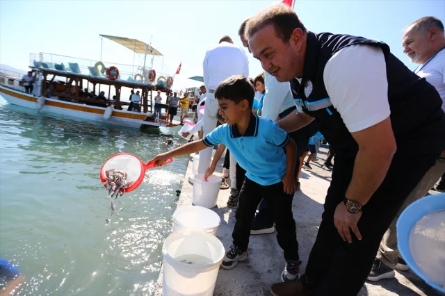 Muğla'da Heyecan Verici Etkinlik: Yüz Binlerce Balık Yavrusu Denize Kavuştu