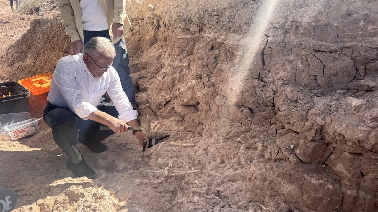 Kayseri'deki Tarih Öncesi Hazinesi Yeniden Gün Yüzüne Çıkıyor