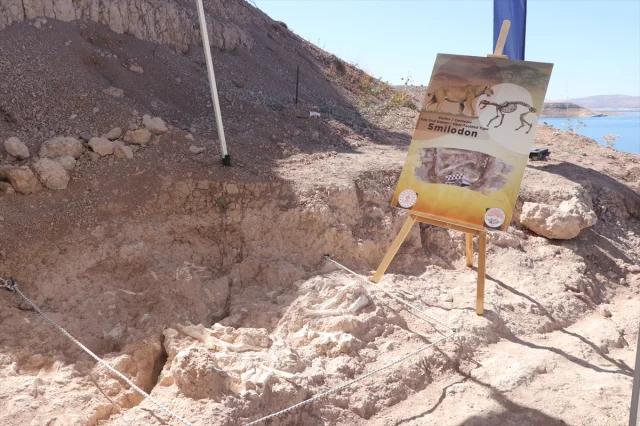 Kayseri'deki Tarih Öncesi Hazinesi Yeniden Gün Yüzüne Çıkıyor