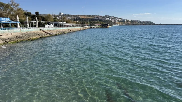 Tekirdağ'da Deniz Trafiği Yedi Geminin Rüzgarla Savaşı Sonra...