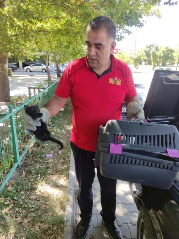 Erzincan’da Motor Bölümünden Kurtarılan Minik Kedi İçin Zamana Karşı Yarış