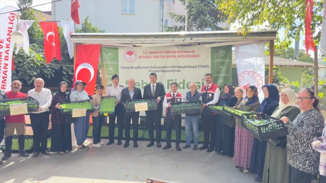 Sarıyer'de Çiftçiliğe Destek: 112 Bin Fide Dağıtıldı
