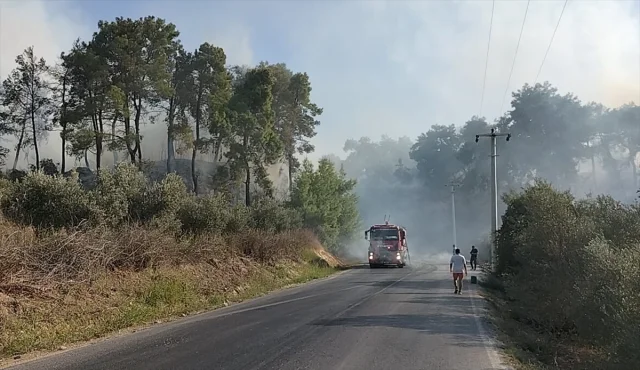 Manavgat'ta Korkutan Yangın Yerleşim Yerine Metreler Kala Kontrol Altında