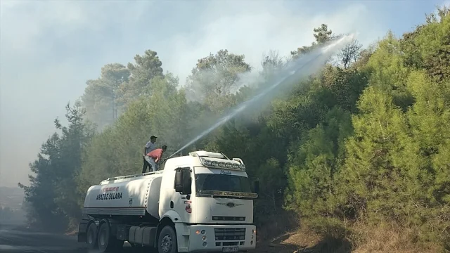 Manavgat'ta Korkutan Yangın Yerleşim Yerine Metreler Kala Kontrol Altında