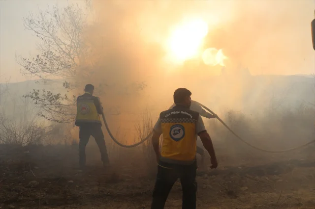 Suriye'nin Lazkiye Bölgesinde Süren Yangınlar Felakete Dönüştü