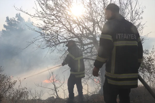 Suriye'nin Lazkiye Bölgesinde Süren Yangınlar Felakete Dönüştü