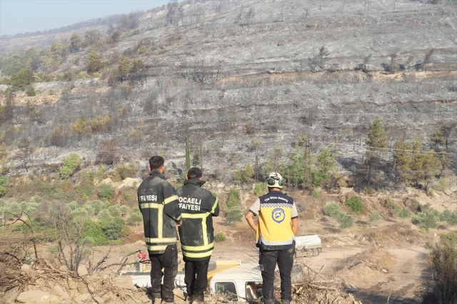 Suriye'nin Lazkiye Bölgesinde Süren Yangınlar Felakete Dönüştü