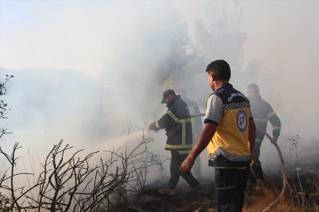 Suriye'nin Lazkiye Bölgesinde Süren Yangınlar Felakete Dönüştü