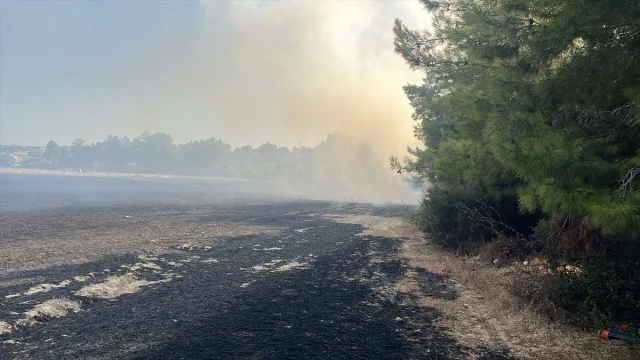 Manavgat'ta Korkutan Yangın Yerleşim Yerine Metreler Kala Kontrol Altında