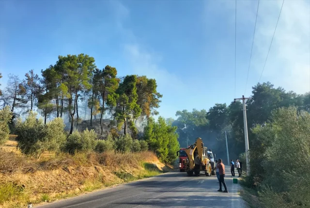 Manavgat'ta Korkutan Yangın Yerleşim Yerine Metreler Kala Kontrol Altında