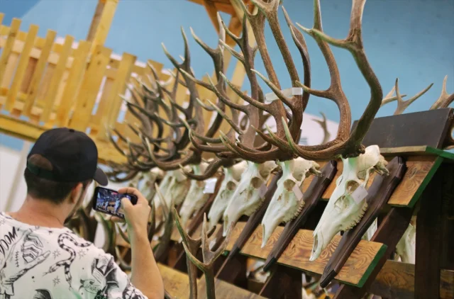 Sırbistan'da Av Tutkunları Buluşuyor: Novi Sad'da Büyük Etkinlik