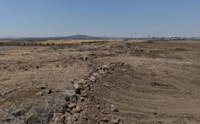Suriye'de Tarım Krizi Derinleşiyor: Çiftçiler Zor Durumda