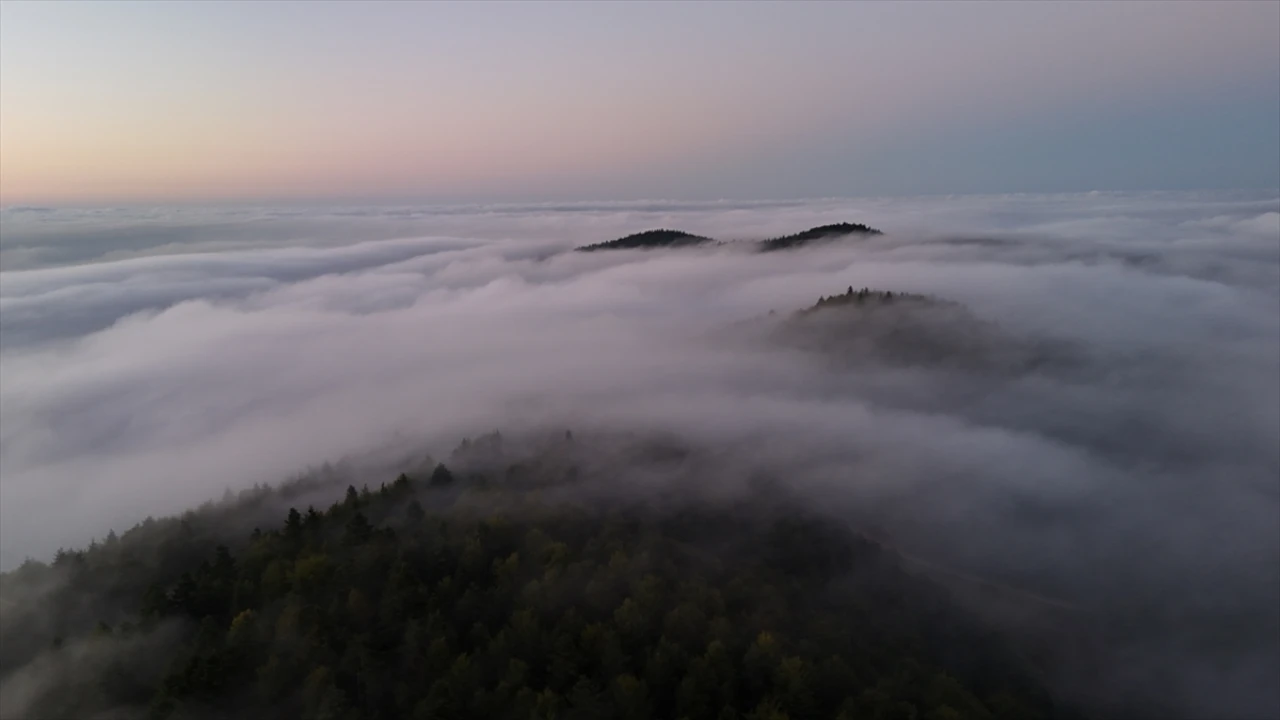 Samsun'da 1000 Rakımlı Bölgede Görsel Şölen: Sis Denizi Büyüledi