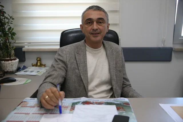 Doğadan Toplanan Mantarlar Tehlike Saçıyor: Uzmanlar Uyardı