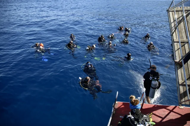 Altın Palet Türkiye Şampiyonası'nda Rekabet Kızışıyor: Fethiye'de Nefes Kesen Anlar