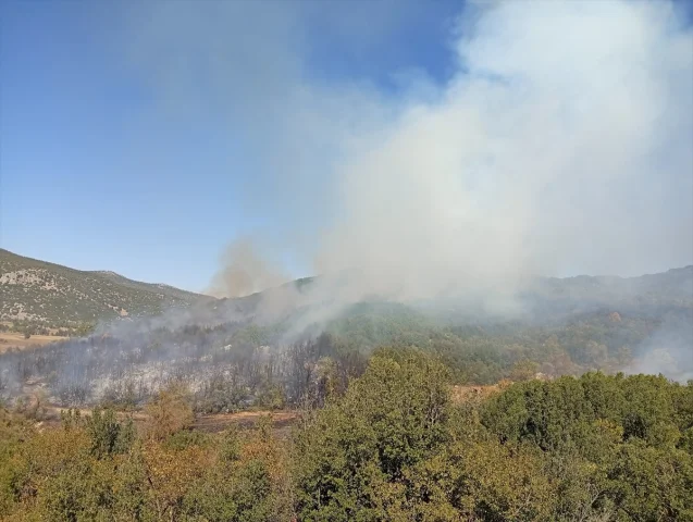 Burdur'da Alevler Kontrol Altına Alınmaya Çalışılıyor