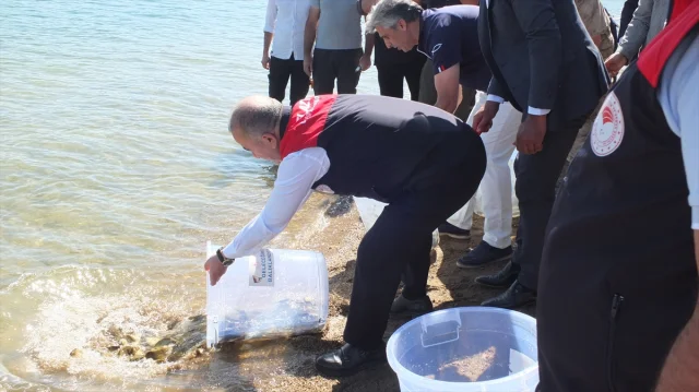 Elazığ'da Keban Barajı'nda Çarpıcı Hamle: 10 Bin Sazan Yavrusu Doğaya Bırakıldı