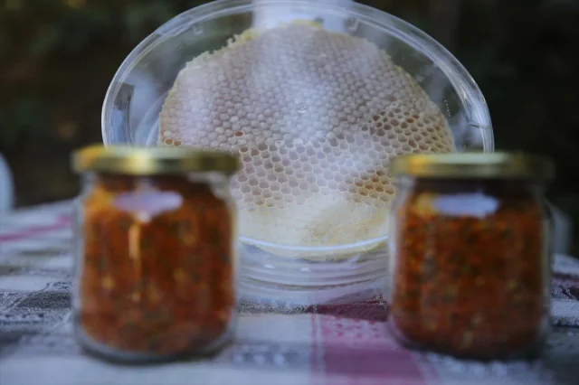 Arıcılığın Yeni Nesil Sırrı: Bodrumlu Aile Ata Mesleğini Başarıyla Sürdürüyor