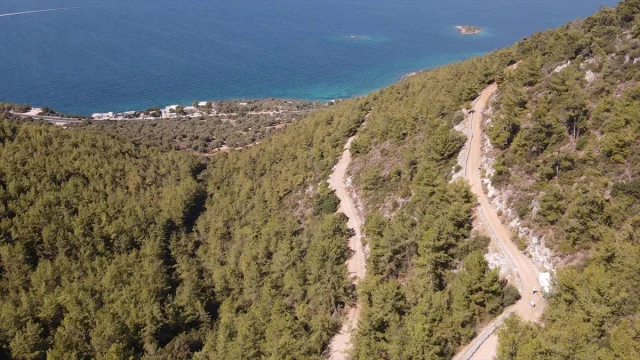 Arıcılığın Yeni Nesil Sırrı: Bodrumlu Aile Ata Mesleğini Başarıyla Sürdürüyor