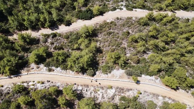 Arıcılığın Yeni Nesil Sırrı: Bodrumlu Aile Ata Mesleğini Başarıyla Sürdürüyor