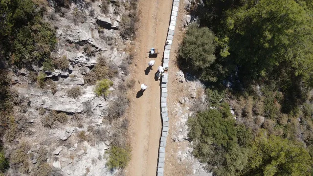 Arıcılığın Yeni Nesil Sırrı: Bodrumlu Aile Ata Mesleğini Başarıyla Sürdürüyor