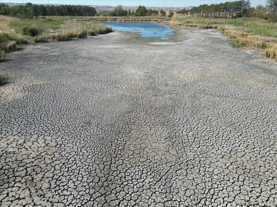 Tekirdağ'da Korkunç Kuraklık Göreti Etkiliyor: Sular Çekildi, Balıklar Tehlikede