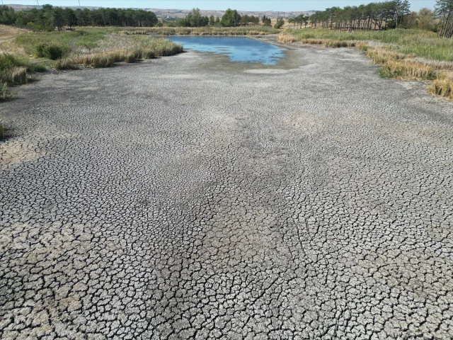 Tekirdağ'da Korkunç Kuraklık Göreti Etkiliyor: Sular Çekildi, Balıklar Tehlikede