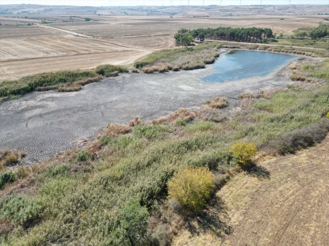 Tekirdağ'da Korkunç Kuraklık Göreti Etkiliyor: Sular Çekildi, Balıklar Tehlikede