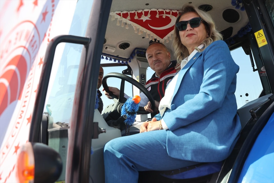 Nevşehir'de Çerezlik Kabak Çekirdeği Hasadı Şenlik Havasında Başladı