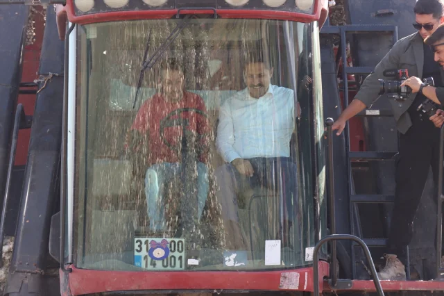 Hatay'da Pamuk Hasadında Beklenmedik Gelişmeler
