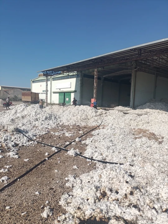 Adana'da Çıkan Korkutan Yangın Kontrol Altına Alındı