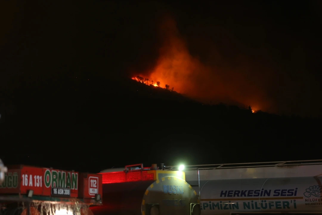 Bursa Orman Yangını Büyüyor Mu? Müdahale Çalışmaları Sürüyor