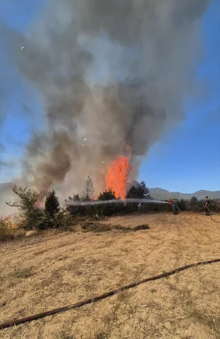 Bursa'da Orman Yangını: Alevler Hızla Kontrol Altına Alınıyo...