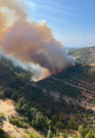 Balıkesir'de Yangın Panik Yarattı: Ormanlar Alevlerle Savaşı...