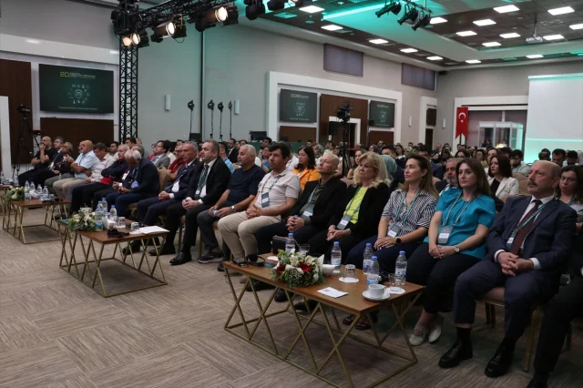 Sigorta Dolandırıcılığında Şok Rakamlar Açıklandı: Prof. Ranavaya Uyardı