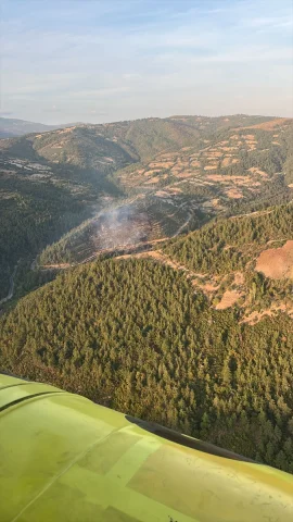Balıkesir'de Orman Yangını Heyecanla İzlenen Kurtarma Operasyonuyla Son Buldu
