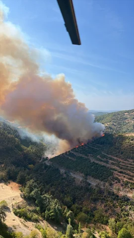 Balıkesir'de Orman Yangını Heyecanla İzlenen Kurtarma Operasyonuyla Son Buldu