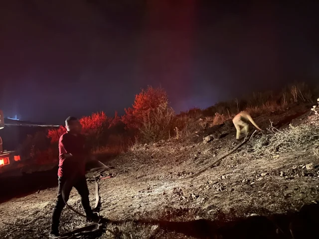 Isparta'nın Eğirdir İlçesinde Korkutucu Orman Yangını Kontrol Altına Alındı