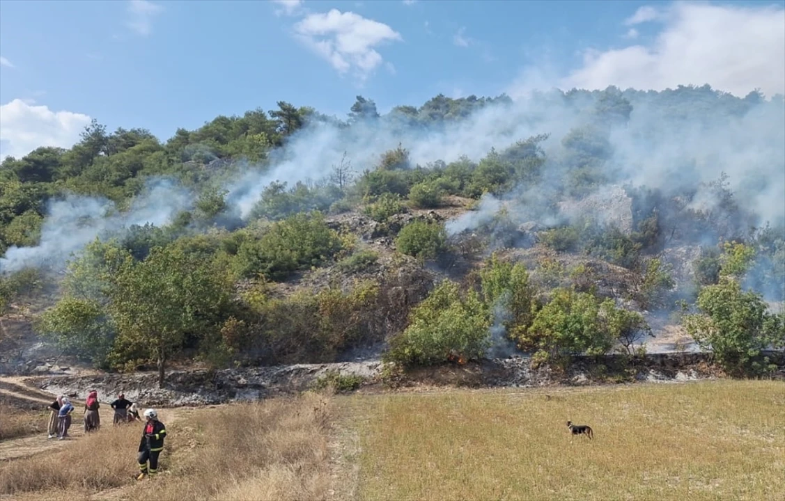 Tokat'ın Niksar İlçesinde Korkutan Yangın Kontrol Altına Alındı