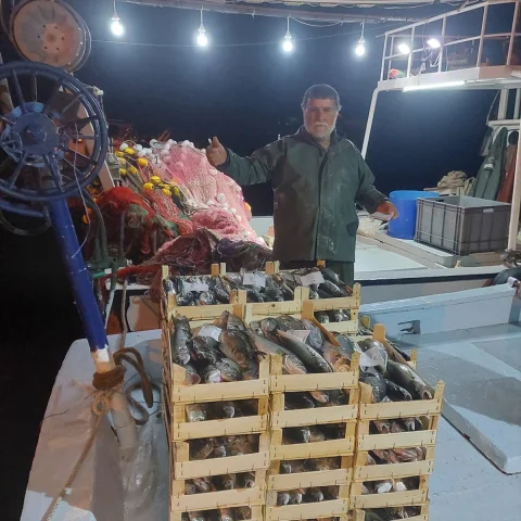 İğneada'da Lüfer Bereketi: Balıkçıların Yüzü Gülüyor