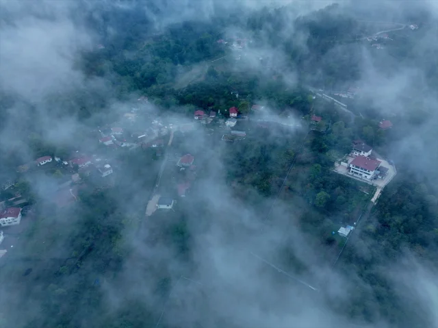 Bolu Dağı'nda Sis ve Sağanak Sürücüleri Zorladı